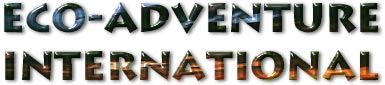 Accessible Adventures From Eco-Adventure International LLC